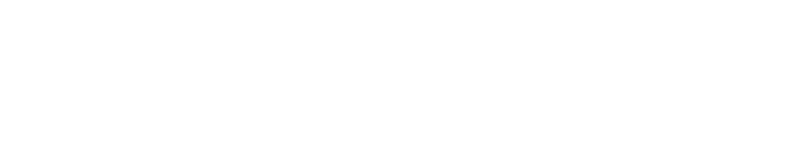 CarBlitz